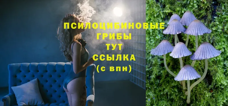 ОМГ ОМГ ссылки  Агидель  Псилоцибиновые грибы Psilocybe  купить наркоту 